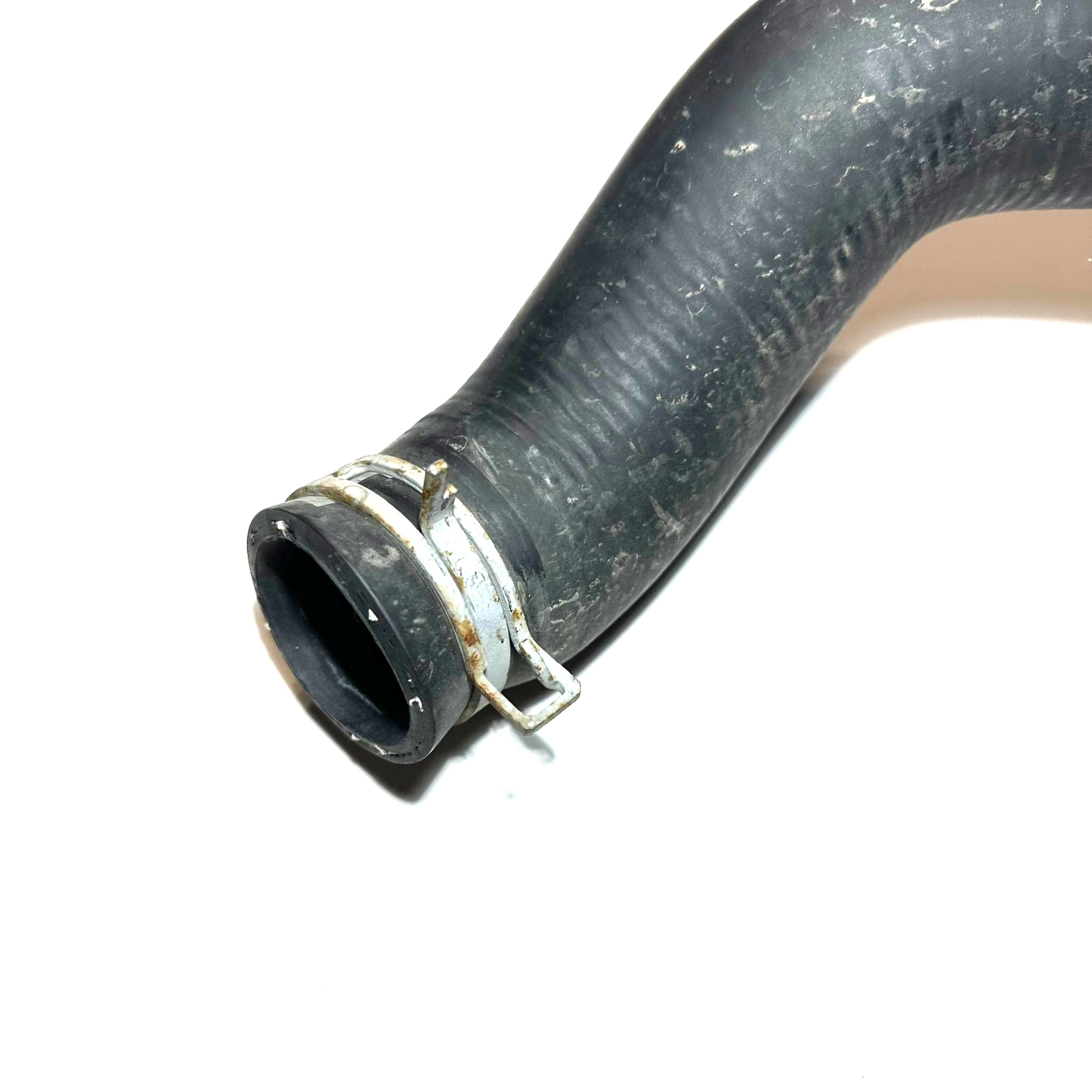 1999-2004 Ford Mustang 3.8L 3.9L V6 Radiator Lower Coolant Hose