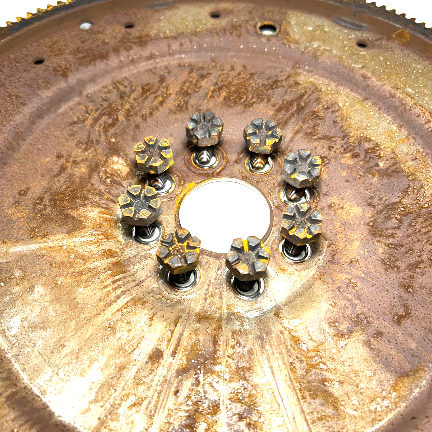 1996-1998 Ford Mustang GT 4.6L Automatic Transmission Flywheel Flex Plate 8 BOLT
